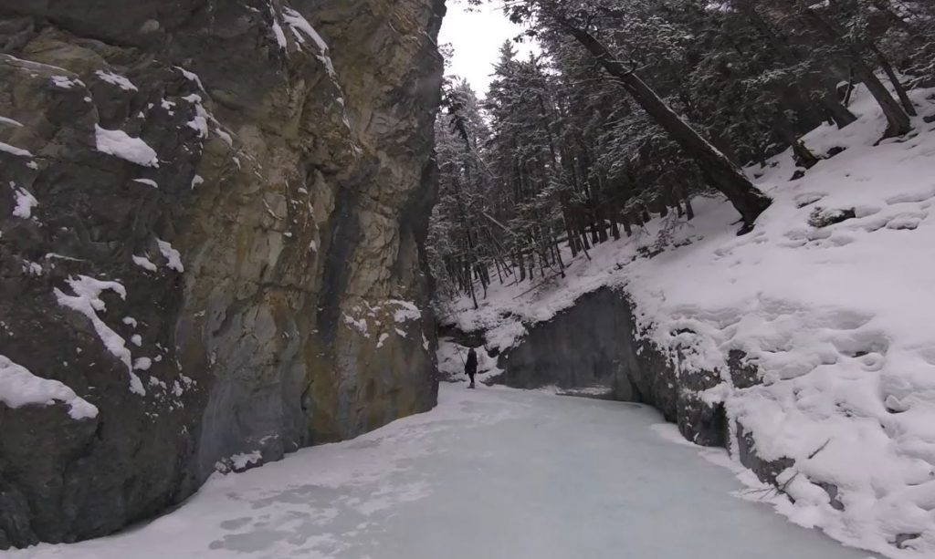 An image of the high canyonwalls  along the creek of the Grotto Canyon hike near Canmore, Alberta 