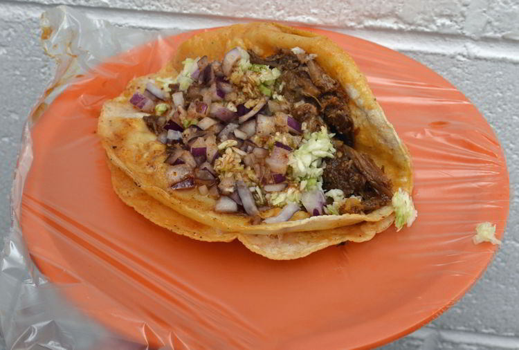 An image of a birria taco from Tacos Robles in Puerto Vallarta, Mexico - the best tacos in Puerto Vallarta