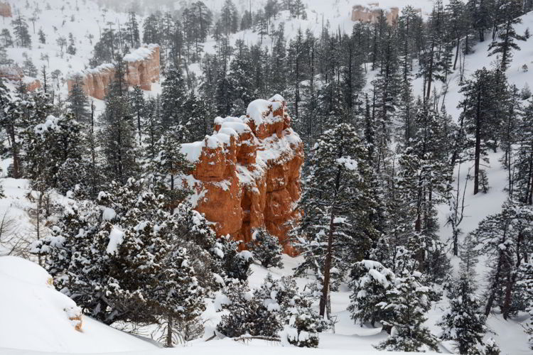 An image of the view from the Rim Trail in Bryce Canyon National Park, Utah - Bryce Canyon in winter