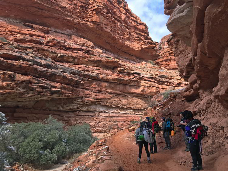 An image of a group of people hiking the Havasupai trail - Havasupai hike.