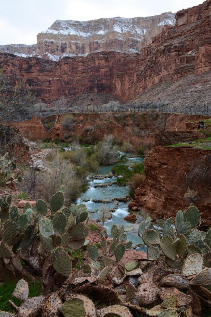 An image of Havasu Creek that feeds Havasu Falls - Havasupai hike