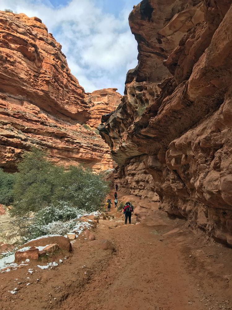 An image of a group of people walking along the Havasupai trail to Havasu Falls - Havasupai hike