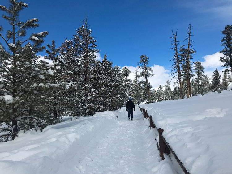 An image of a man hiking up a trail in Bryce Canyon National Park, Utah - Bryce Canyon in winter