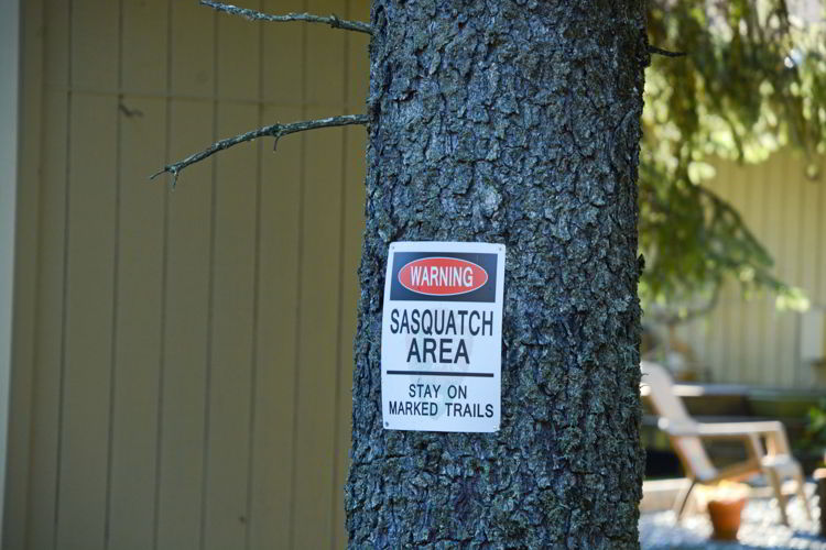 An image of a Sasquatch sign near Juneau, Alaska 