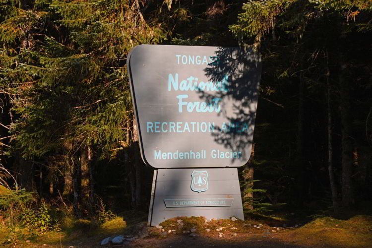 An image of the Tongass National Forest sign just outside Juneau, Alaska. 