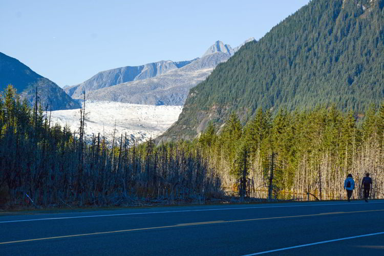 an image of the view on the walk to the Mendenhall Glacier visitor center near Juneau, Alaska - taking the bus to Mendenhall Glacier