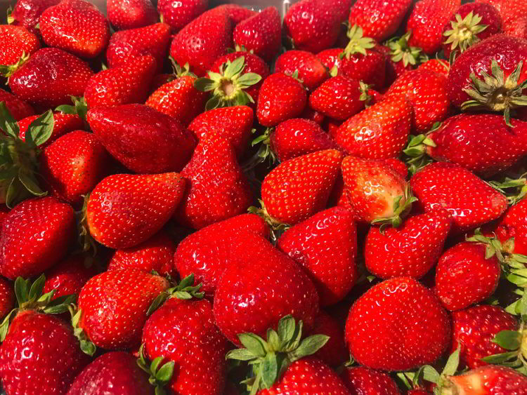 An image of vine-ripened Tuscan strawberries in Livorno, Italy. 