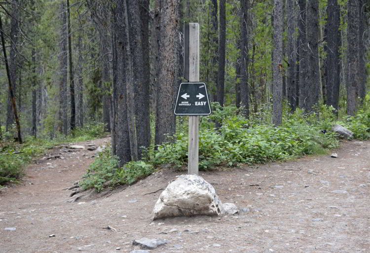 An image of a sign on the Grassi Lakes trail pointing to the easy way and the hard way. 