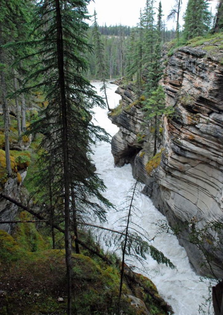 An image of Athabasca Falls in Jasper National Park, Alberta - Jasper hikes.