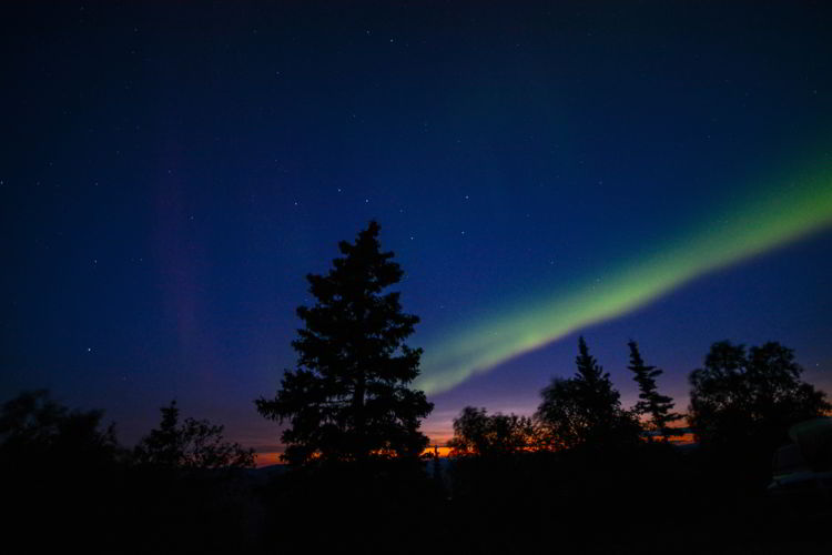 An image of the northern lights near Dawson City, Yukon in August. 