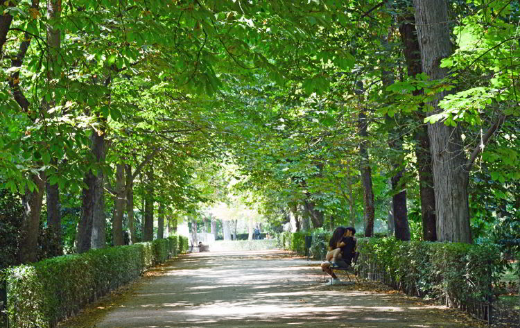 An image of two young lovers kissing on a park bench in Retirio Park in Madrid, Spain - Free things to do in Madrid.