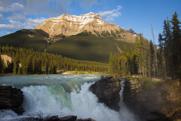 An image of Athabasca Falls in Jasper National Park, Alberta - Jasper Hikes.
