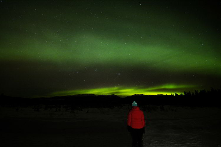 An image of a person in a red jacket watching the northern lights in the Yukon.