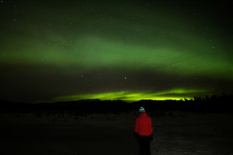 An image of a person in a red jacket watching the northern lights in the Yukon. 