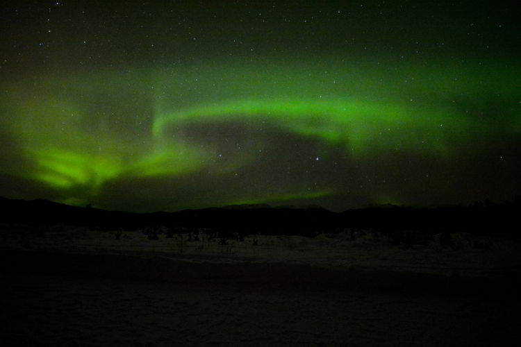 An image of the northern lights in the sky near Whitehorse, Yukon.