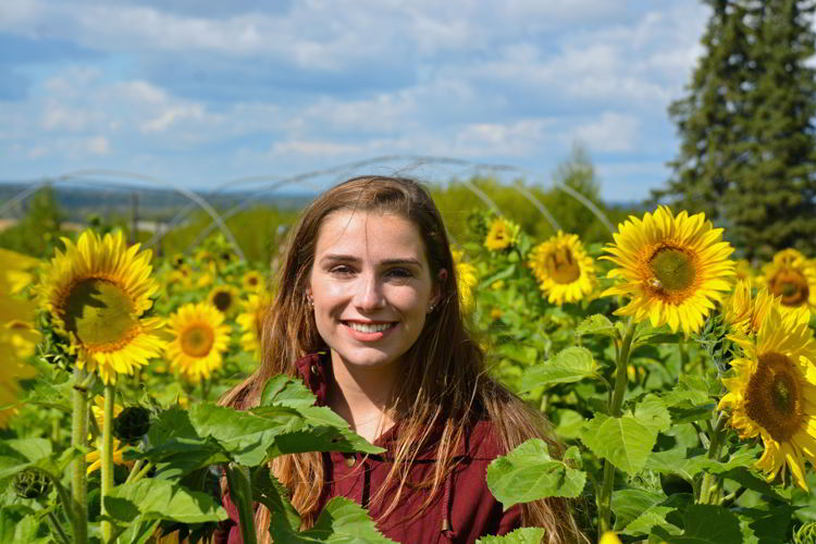 An image of a young woman surrounded by sunflowers at the Bowden Sunmaze in Alberta, Canada. 