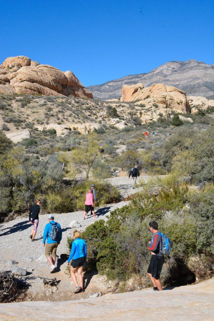An image of a group of hikers at Red Rock Canyon Conservation Area outside Las Vegas Nevada. 
