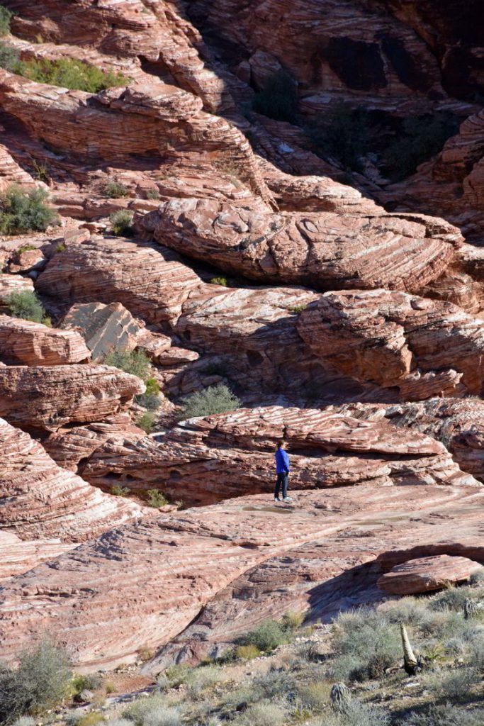 An image of a lone woman standing on the red rocks of Red Rock Canyon outside Las Vegas, Nevada. 