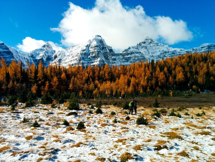 An image of a couple kissing in the Valley of the Ten Peaks along the Larch Valley hike in Banff National Park, Alberta, Canada. 