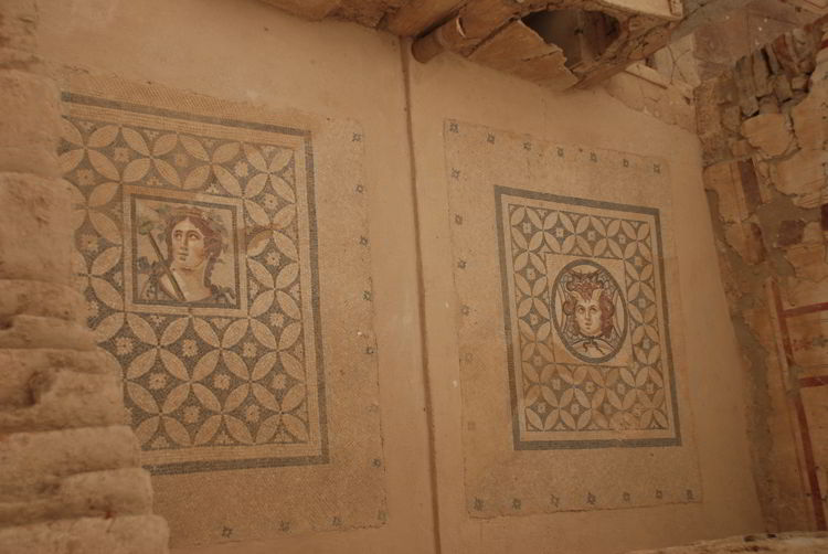 An image of the intricate tile work in the Terrace Houses in ancient Ephesus.