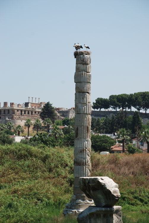 An image of the ruins of the Temple of Artemis near Ephesus, Turkey. 