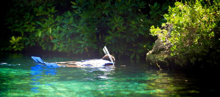 An image of a person snorkeling. 