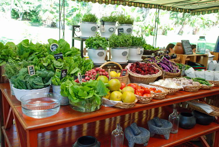 An image of the organic vegetables on Flora Farms in Cabo San Lucas, Mexico. 