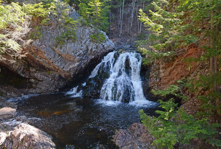 n image of a waterfall in Victoria Park in Truro - Things to do in Truro. 