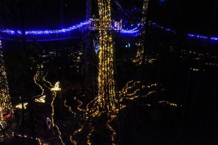 An image of the canopy walk at Canyon Lights at the Capilano Suspension Bridge in Vancouver, BC, Canada. Christmas lights in Vancouver.