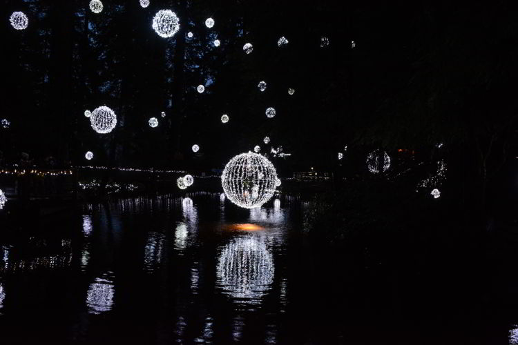 An image of a light display over a pond at Canyon Lights at the Capilano Suspension Bridge in Vancouver, BC, Canada. Christmas lights in Vancouver.