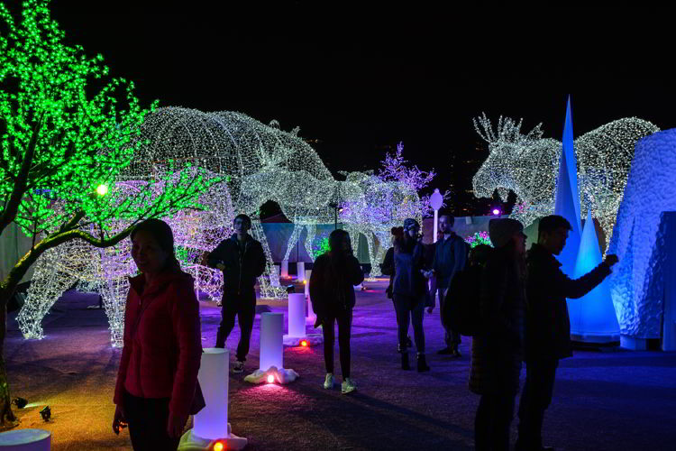 An image of people walking through the Christmas lights displays at the Aurora Winter Festival in Vancouver, BC, Canada. 