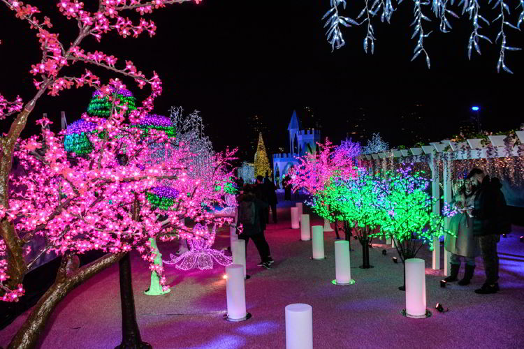 An image of people walking through the Christmas lights displays at the Aurora Winter Festival in Vancouver, BC, Canada. 