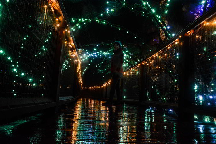 An image of a walkway at Canyon Lights at the Capilano Suspension Bridge in Vancouver, BC, Canada. Christmas lights in Vancouver.