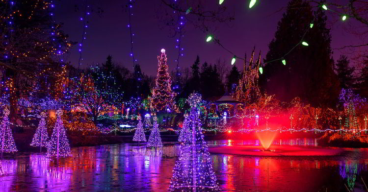 An image of the pond at the Vandusen Festival of Lights in Vancouver, BS, Canada. Christmas Lights in Vancouver.