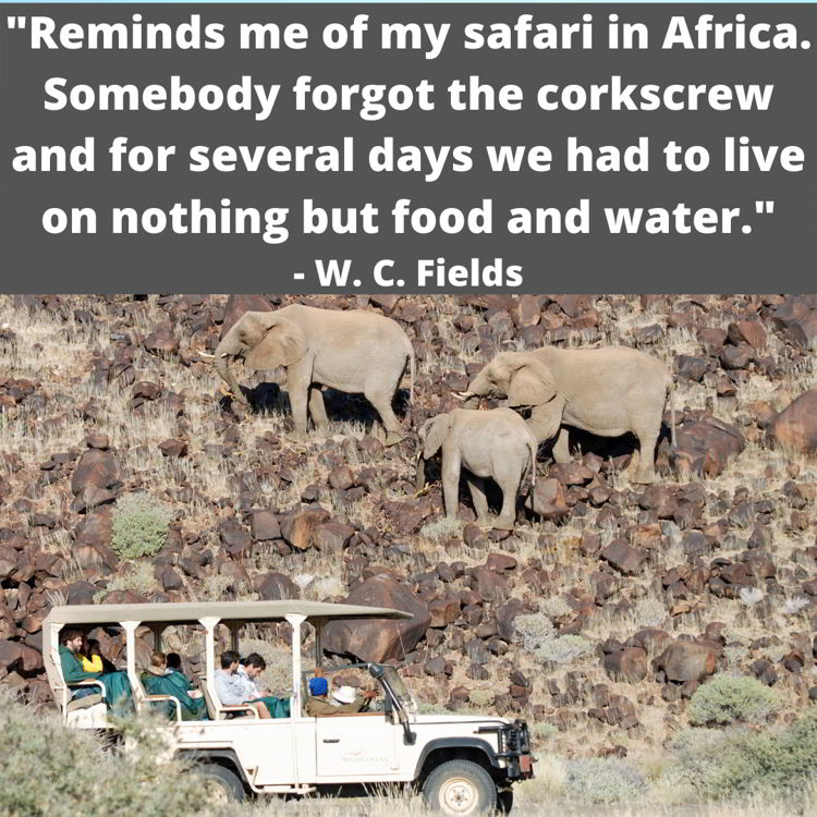 An image with a funny travel quote by W.C. Fields.