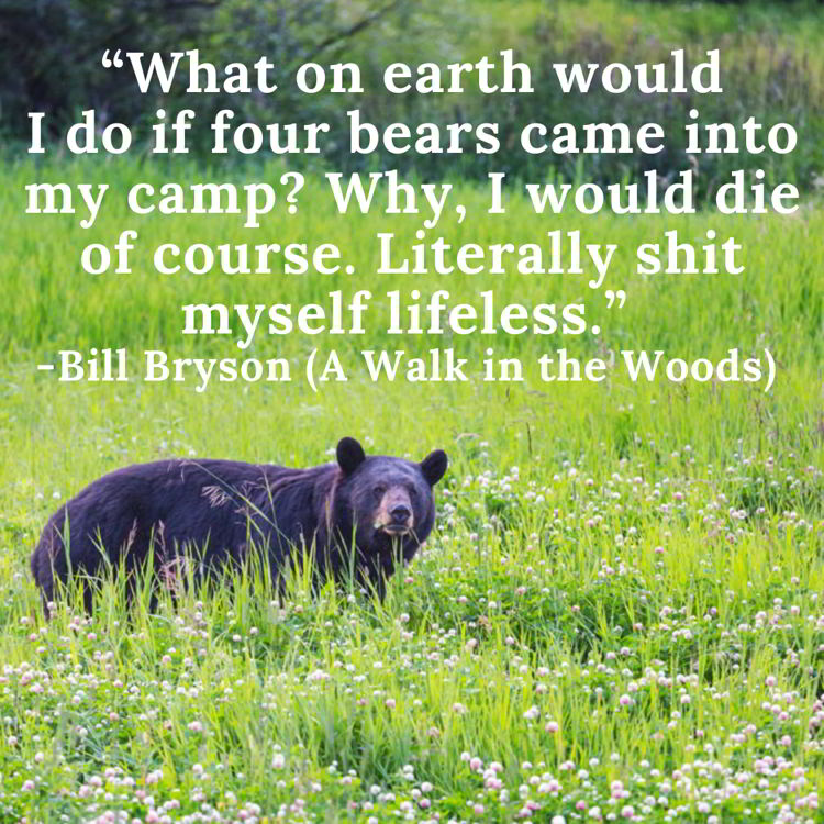 An image with a funny travel quote by Bill Bryson.