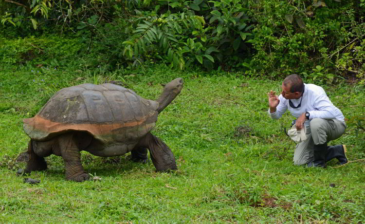 An image of a man and a giant tortoise in the Galapagos islands in Ecuador - travel more and pay less. 