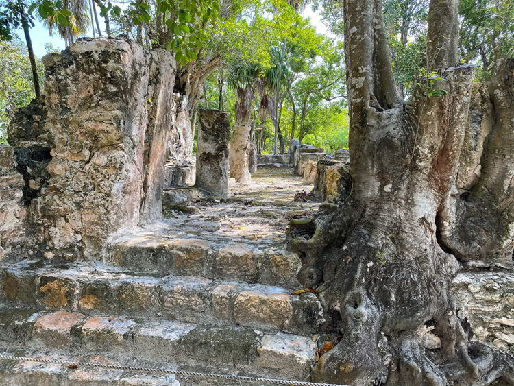 An image of some steps at the El Meco archaeological site in Cancun, Mexico. 