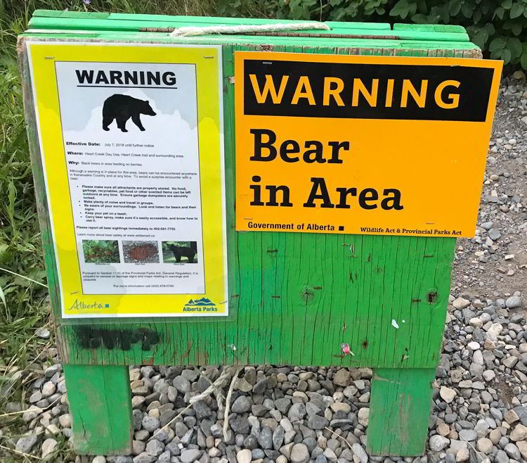 An image of a bear warning sign in Kananaskis, Alberta.