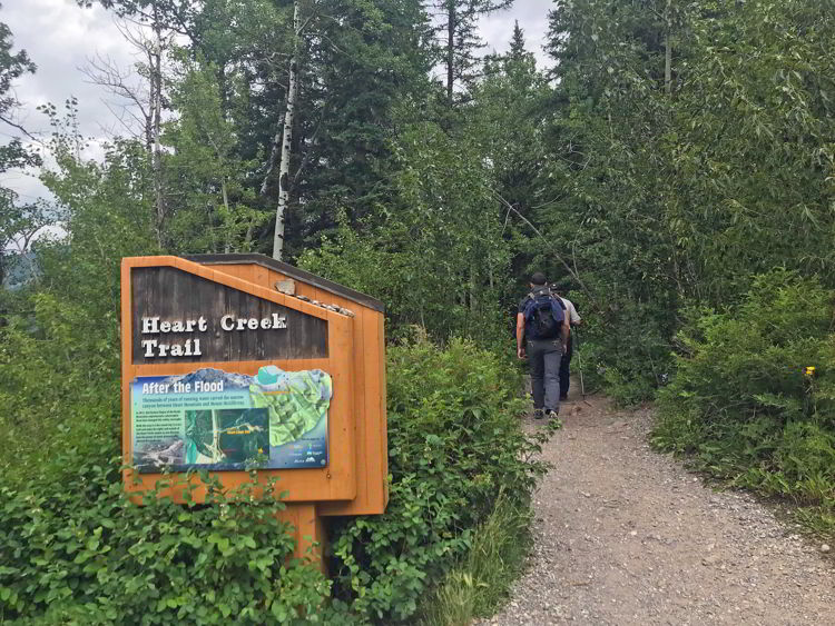An image of the trailhead for the Heart Creek Trail and the Heart Mountain hike near Canmore, Alberta. 