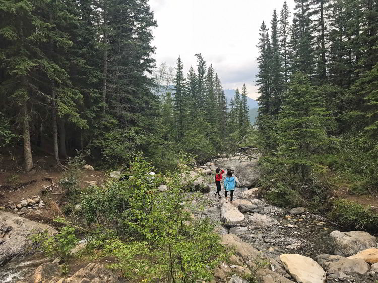 An image of Heart Creek in Kananaskis, Alberta.