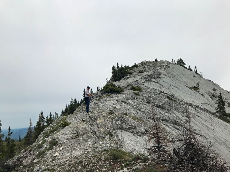 An image of the ridge walk to Grant MacEwan Peak on the Heart Mountain Horseshoe loop trail near Canmore, Alberta. 