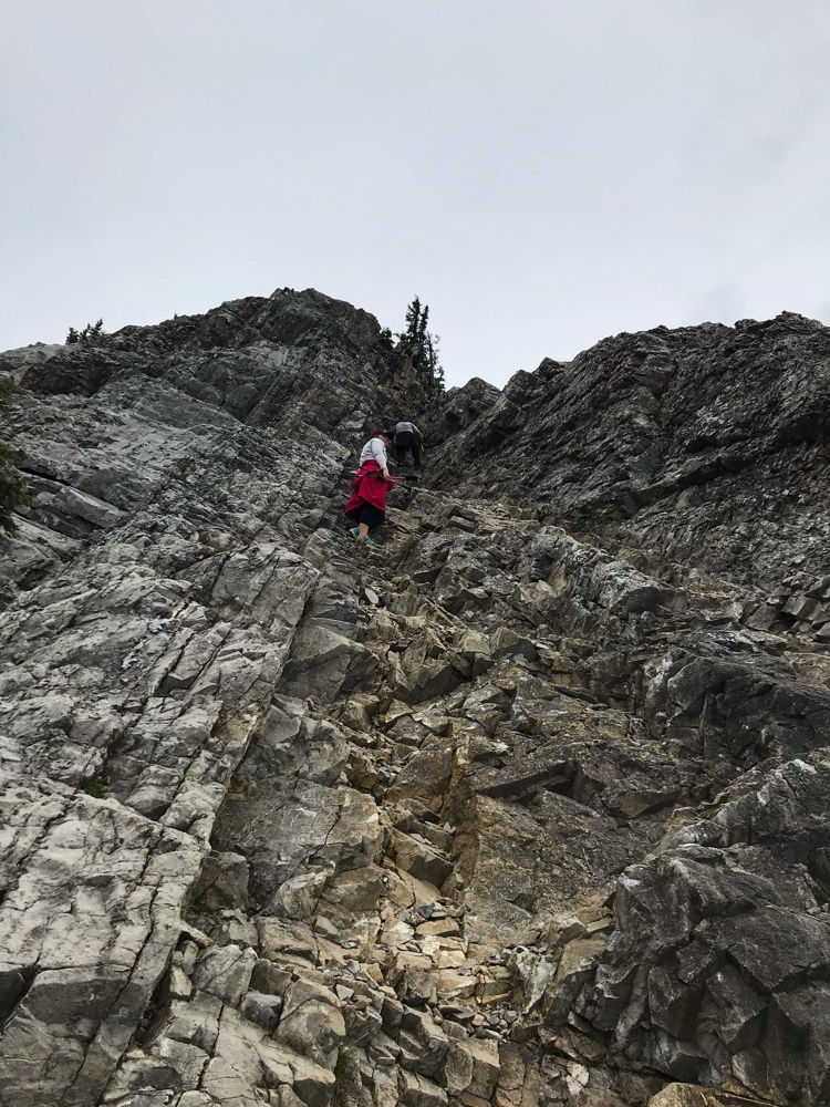 An image of the steepest climb on the Heart Mountain trail near Canmore, Alberta. 