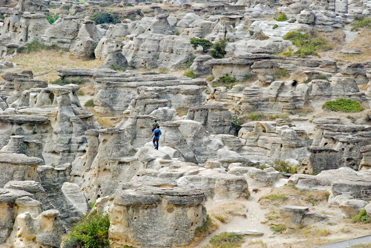 An image of the badlands landscape of Writing-on-Stone Provincial Park in Alberta. 