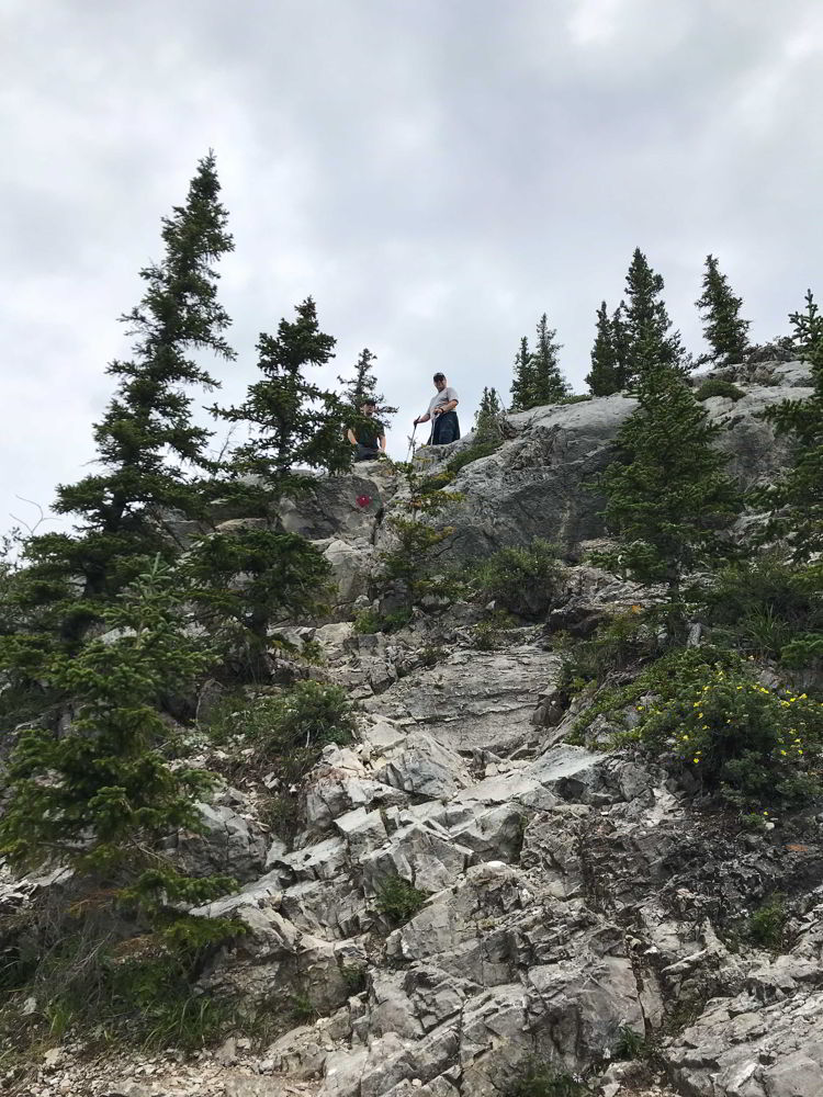 An image of a trail marker on the Heart Mountain trail near Canmore, Alberta. 