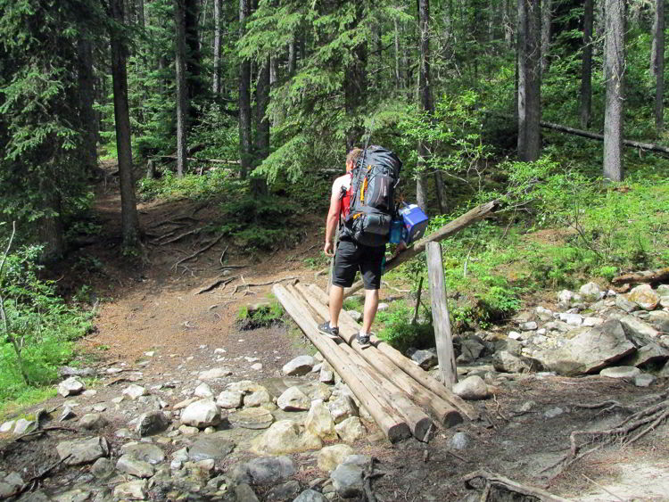 An image of a small bridge crossing on the Allstones Lake trail in Bighorn Backcountry in Alberta, Canada. 