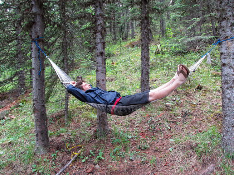 An image of a man laying in a hammock.