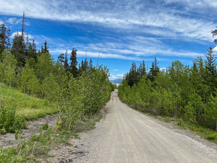 An image of the gravel road leading to a camping area beside Abraham Lake in Alberta, Canada. 