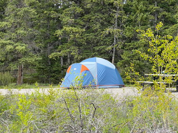 An image of a camp site at Two O'Clock Creek in Kootenay Plains ecological reserve near Abraham Lake in Alberta, Canada.