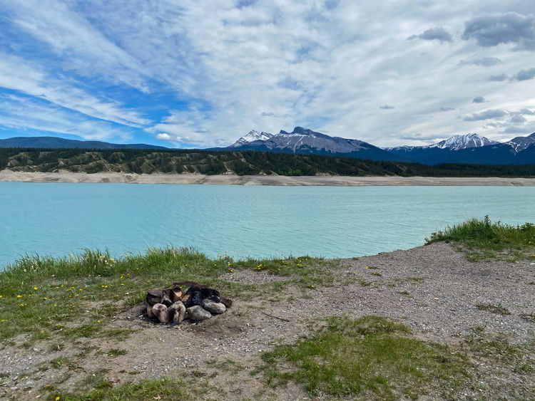 An image of a campsite overlooking Abraham Lake  in Bighorn Backcountry in Alberta, Canada. 